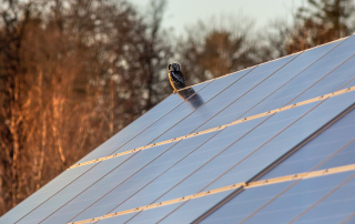 orientación placas solares